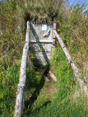 Ladle-Cove-root-cellar.jpg