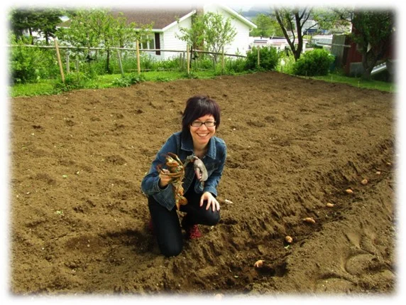 lobsterfertilizing.jpg
