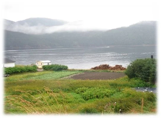 Mancel Halfyard’s gardens overlooking Bonne Bay, Woody Point, Newfoundland