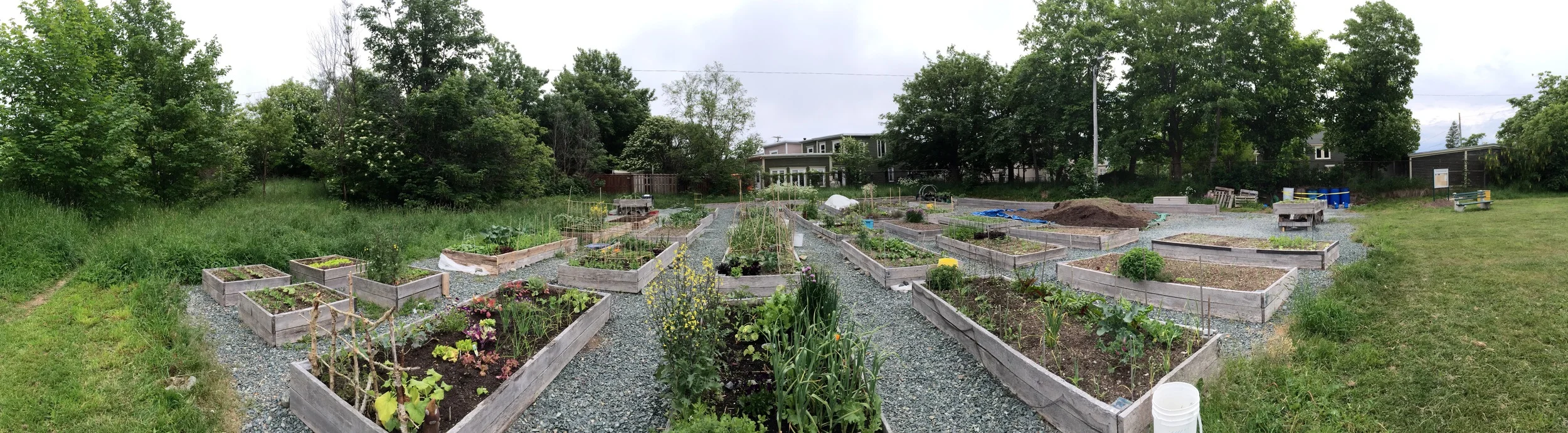 St. John’s Food Policy Council