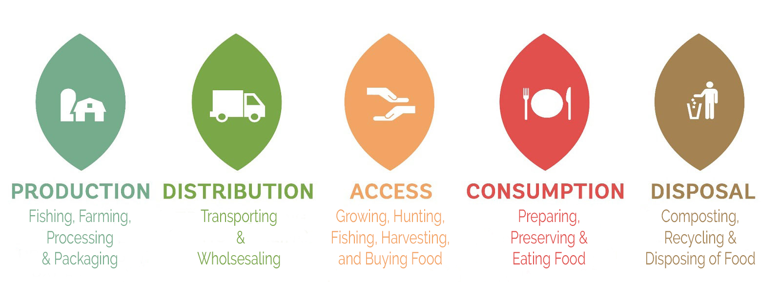 5 Seeds Food System 2019.png