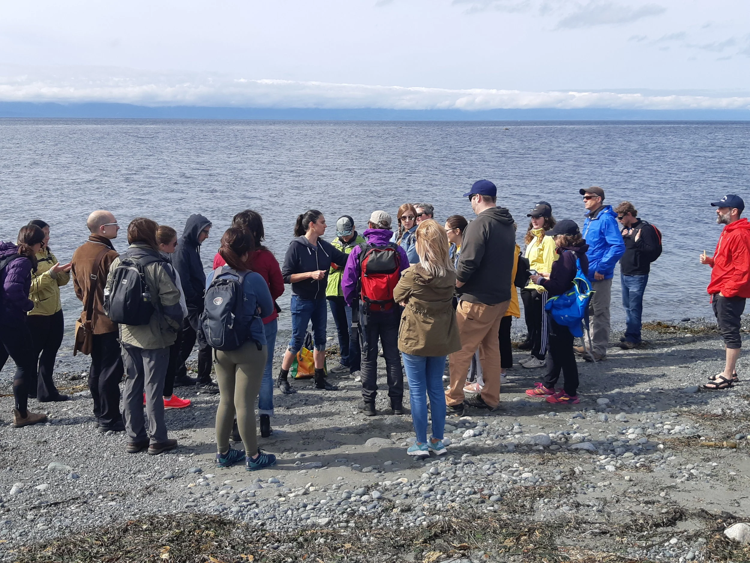 Sarah went on an edible seaweed beach walk while at the conference.