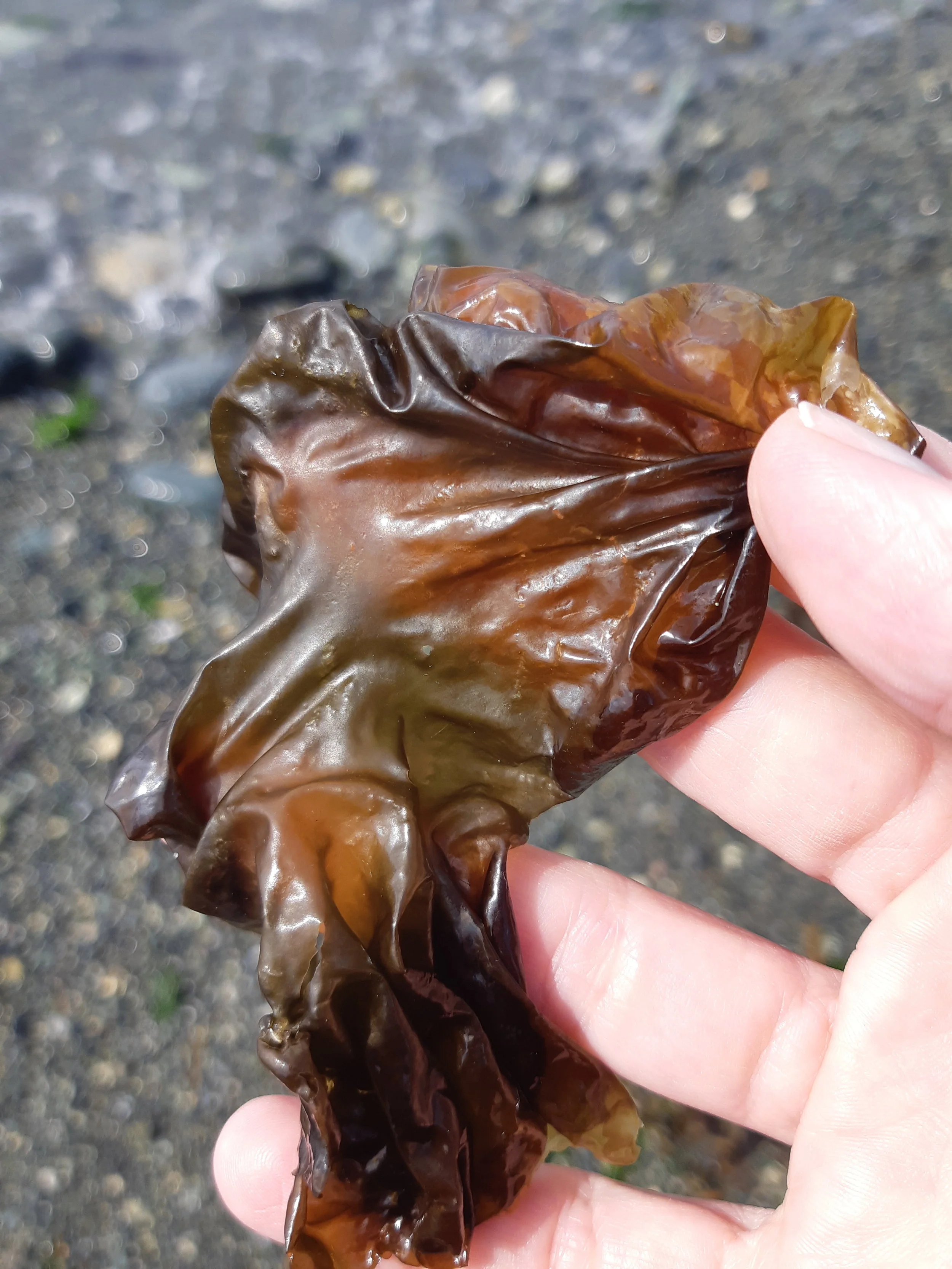 20190515_104328.jpg