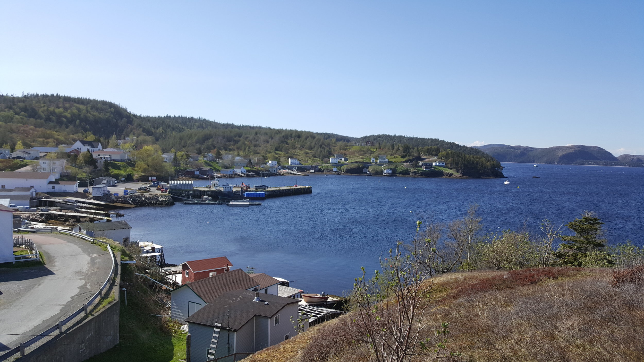 20190605_165536.jpg
