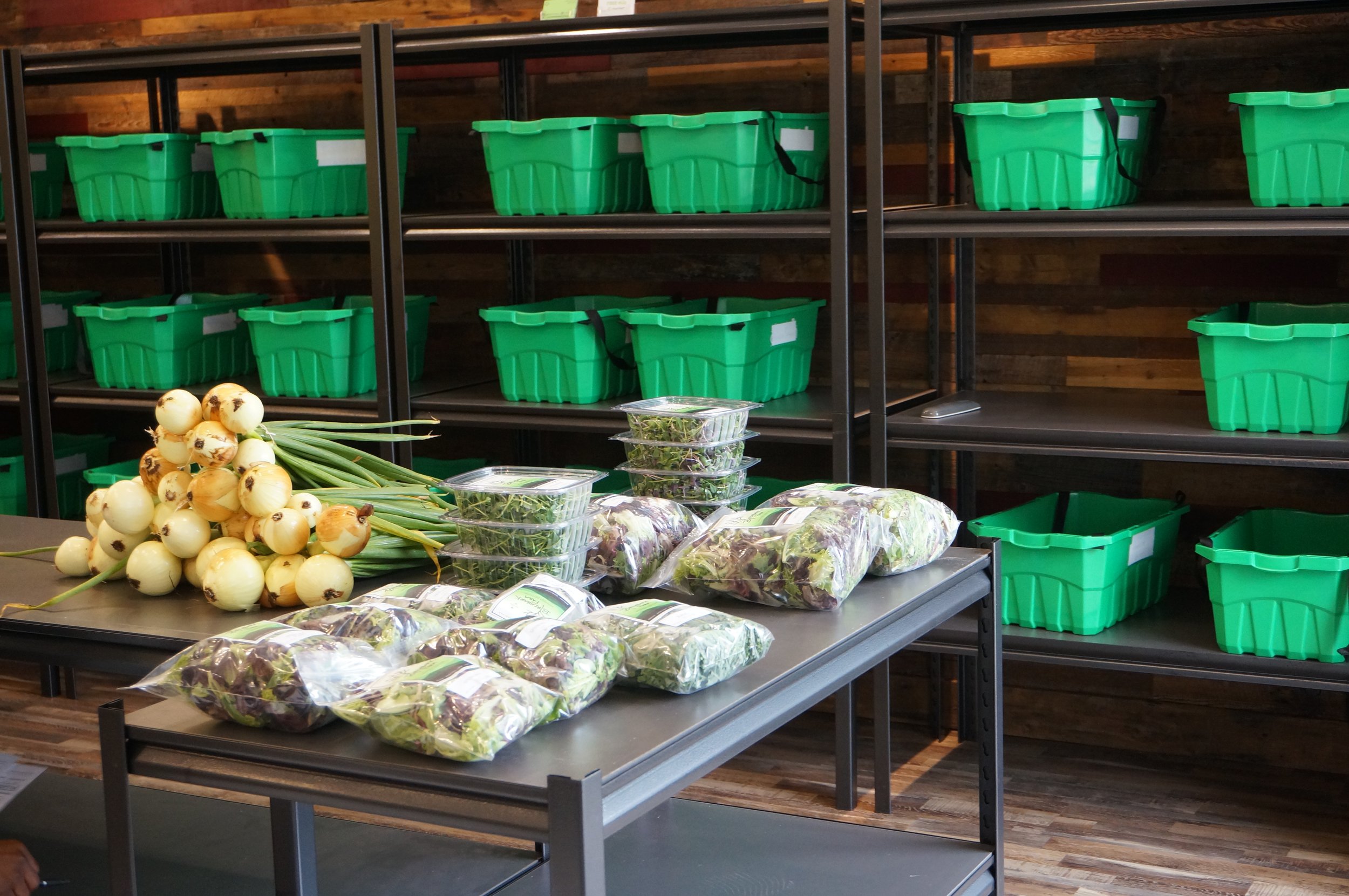  A row of heavy duty shelving against a wood panneled wall, containing two green plastic bins per shelf. On a countertop in front, bagged greens and bunched yellow onions. 