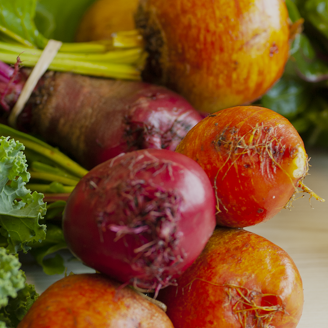  Colourful yellow and red beets with the tops still attached from Seed to Spoon Farm. 