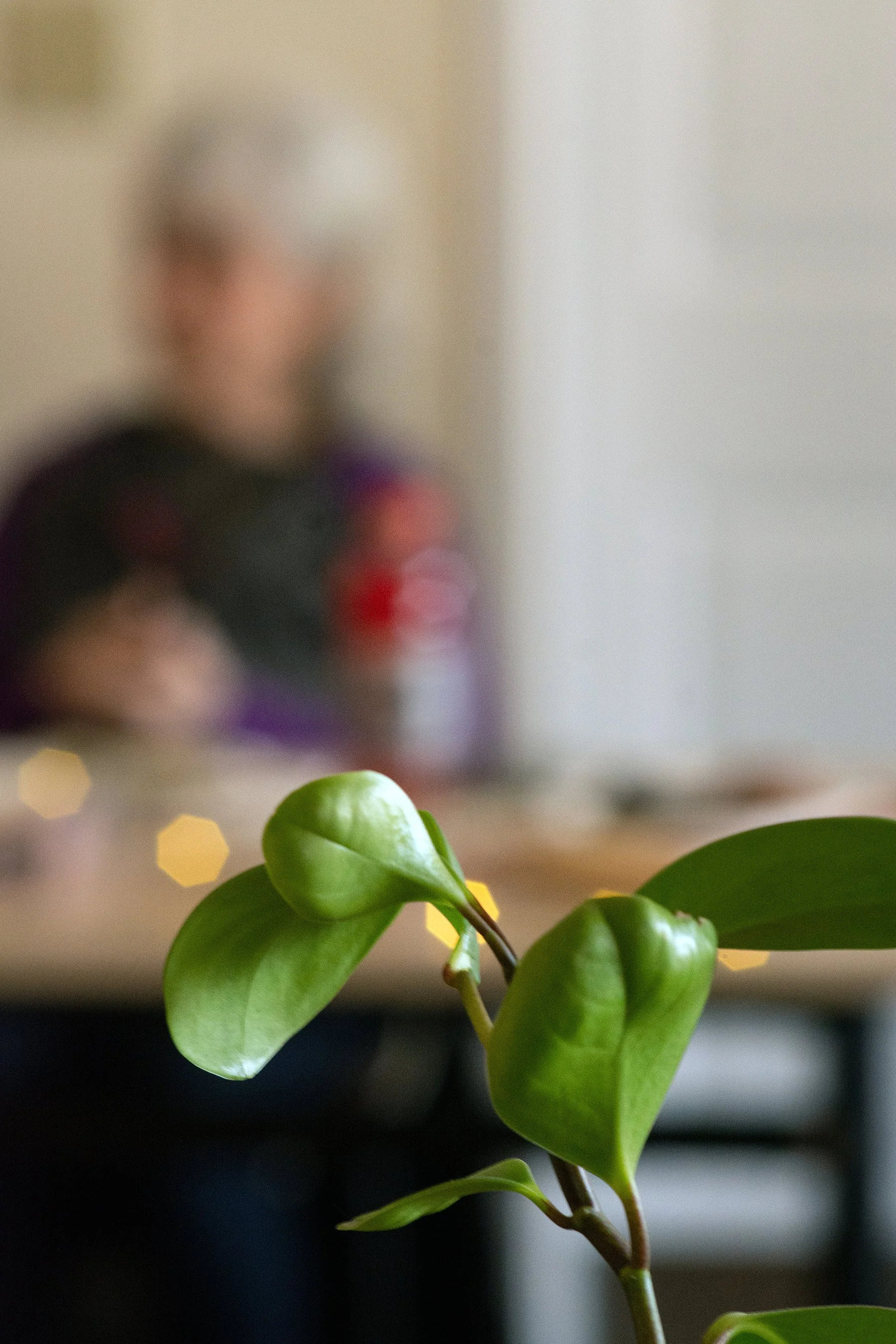 LLEAGsummit26_20260323_54 copy.jpg