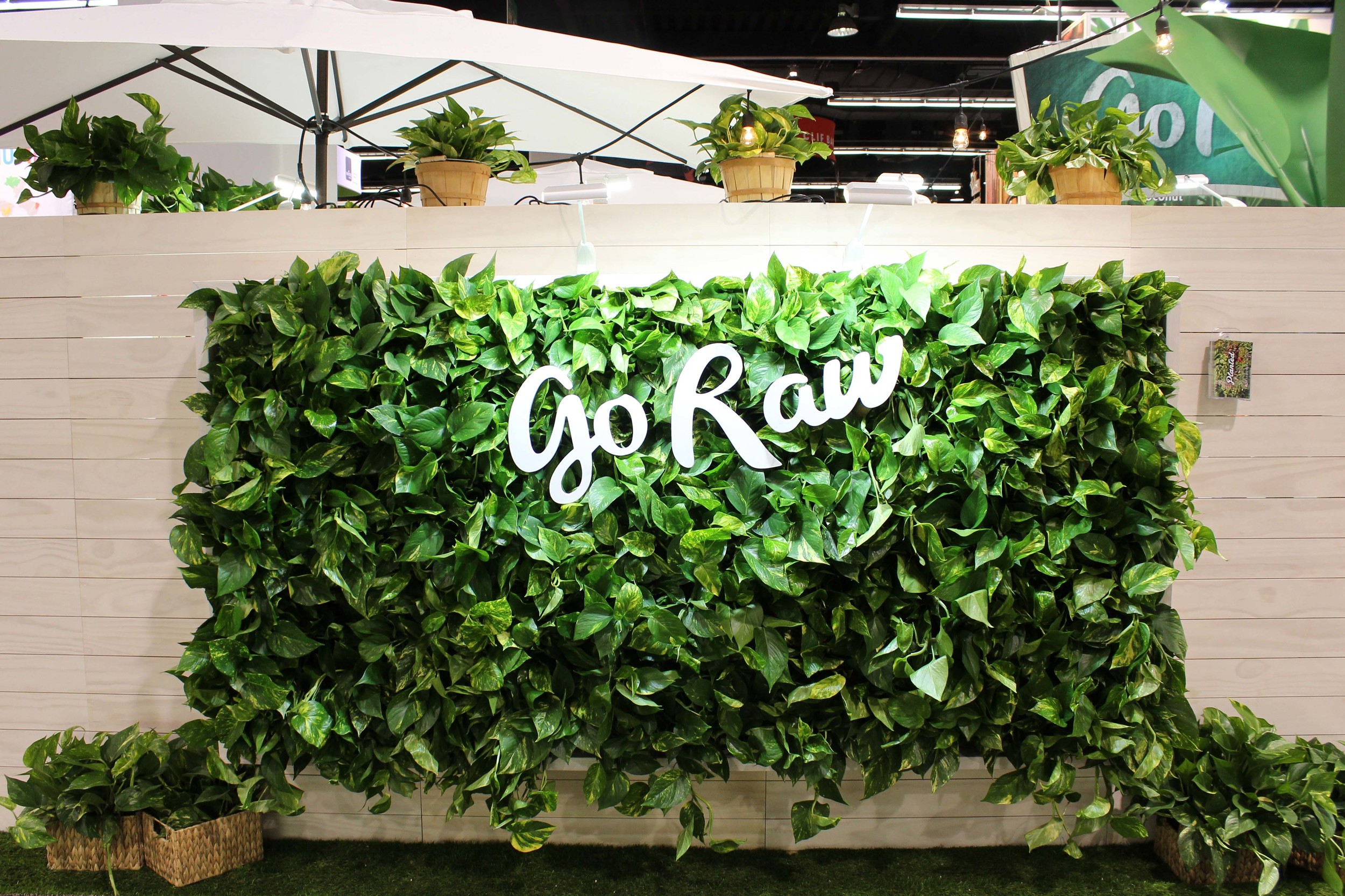Pothos Vertical Garden for Go Raw by Amanda Goldberg Planted Design
