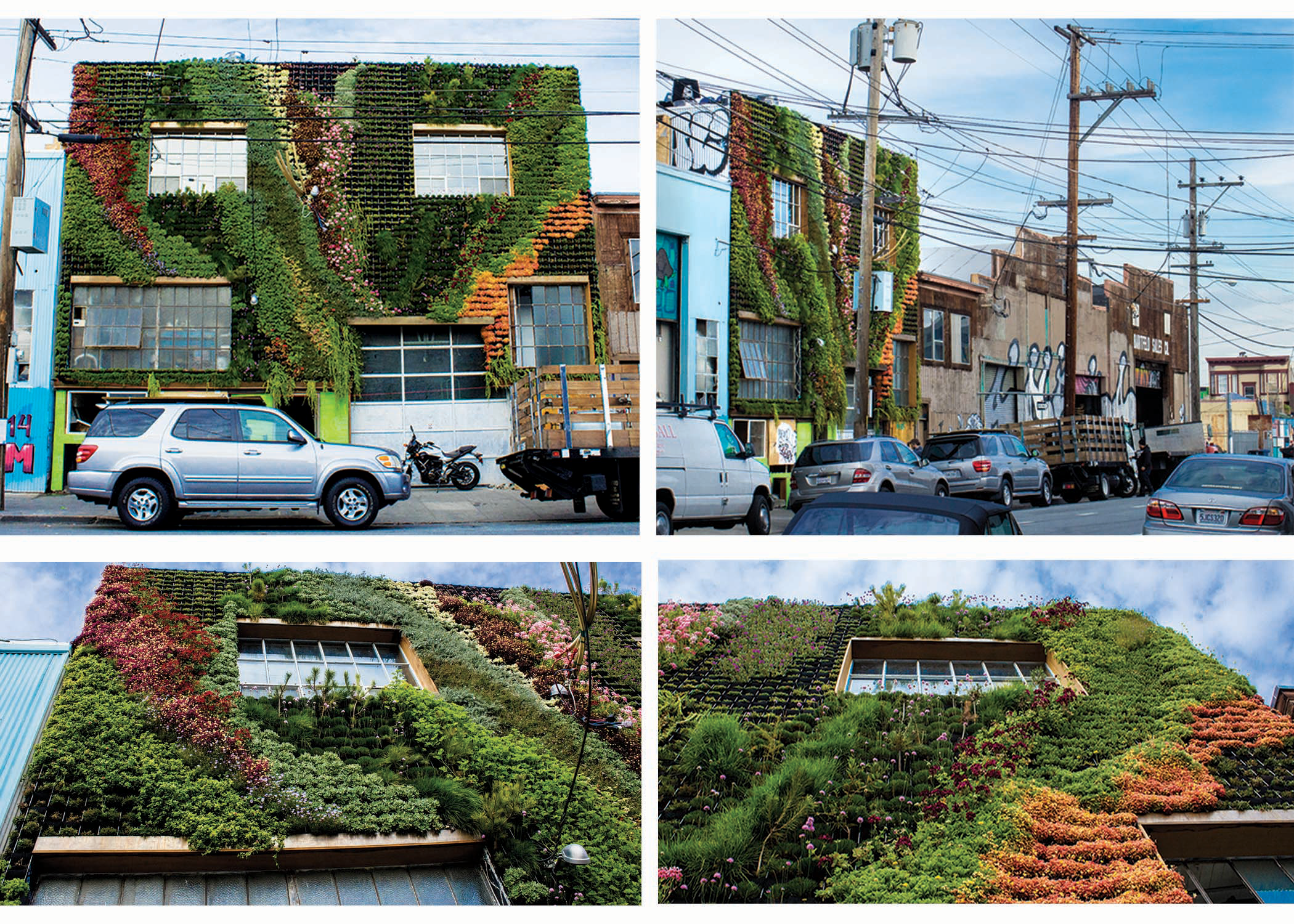 Partners in design: Amanda and Brandon Pruett from Living Green Design co-created this living wall in San Francisco’s Mission District, turning a sterile heat island into a thriving green oasis.