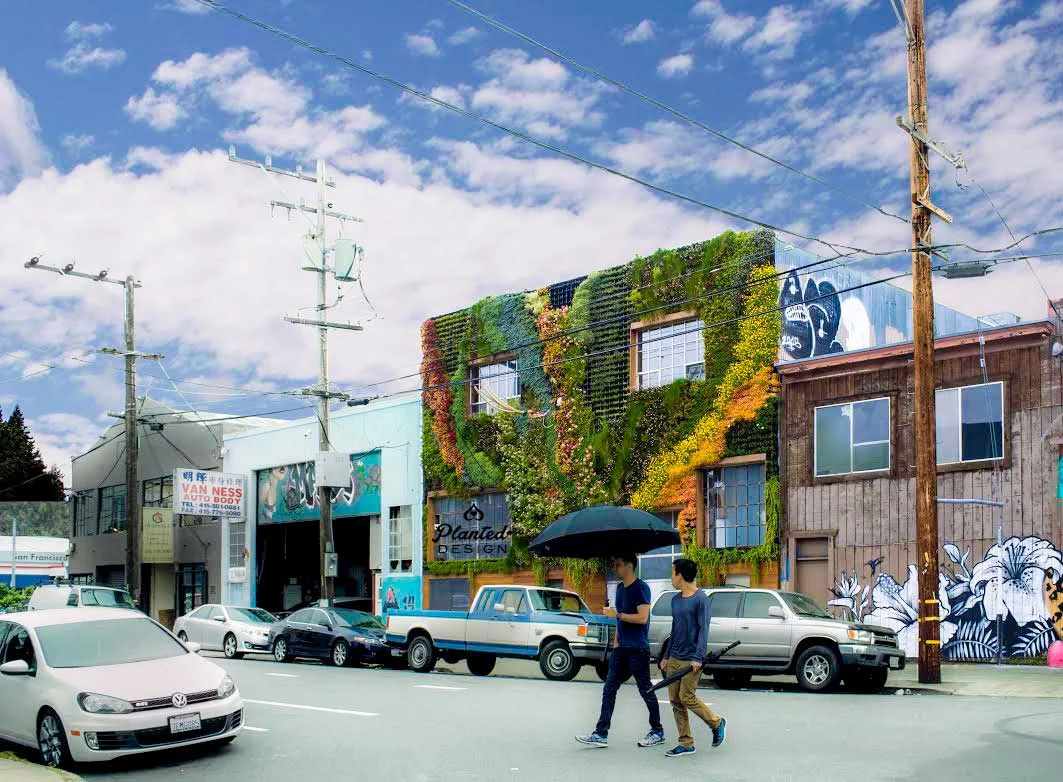 Planted-Design-Be-Safe-House-Living-Wall-Mission-District-SF.jpg