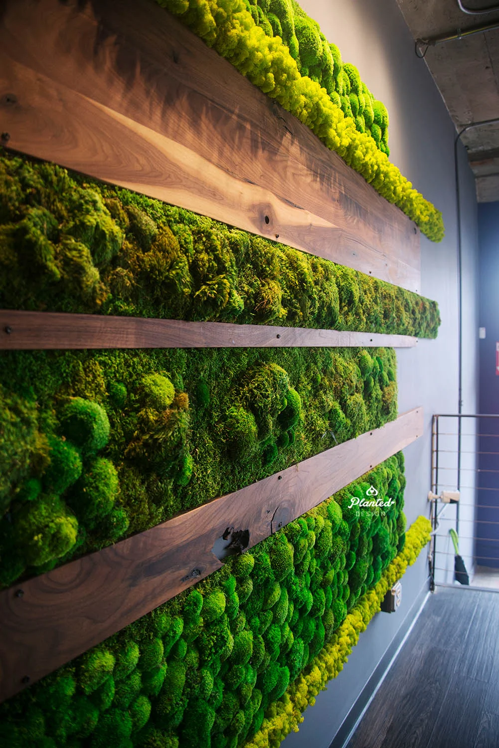 PlantedDesignPreservedMossLivingWallMaintenanceFreeIronSourceReceptionDeskWoodElizabethTae_05_nologo copy.jpg