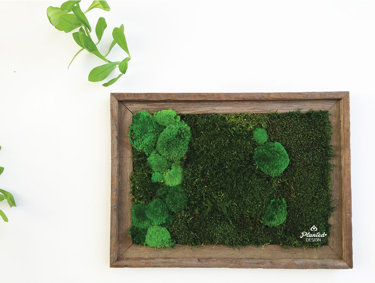 13x19DoubleFrameEtsy2.jpg