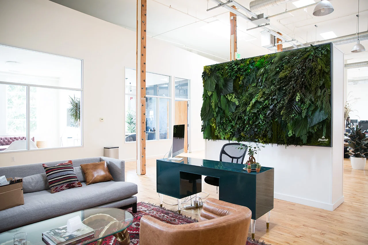 Gallery - Sonder — Planted Design