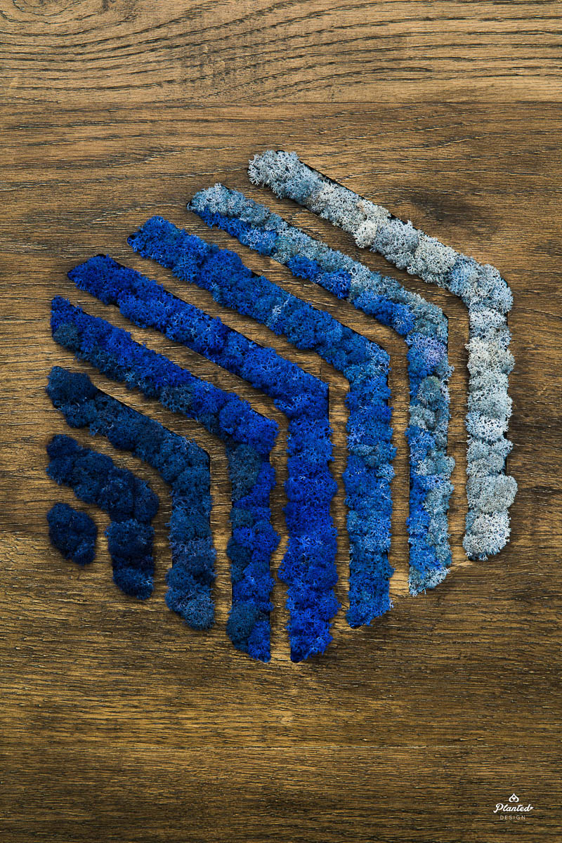 Moss Wall Logo Blue Planted Design (Copy)