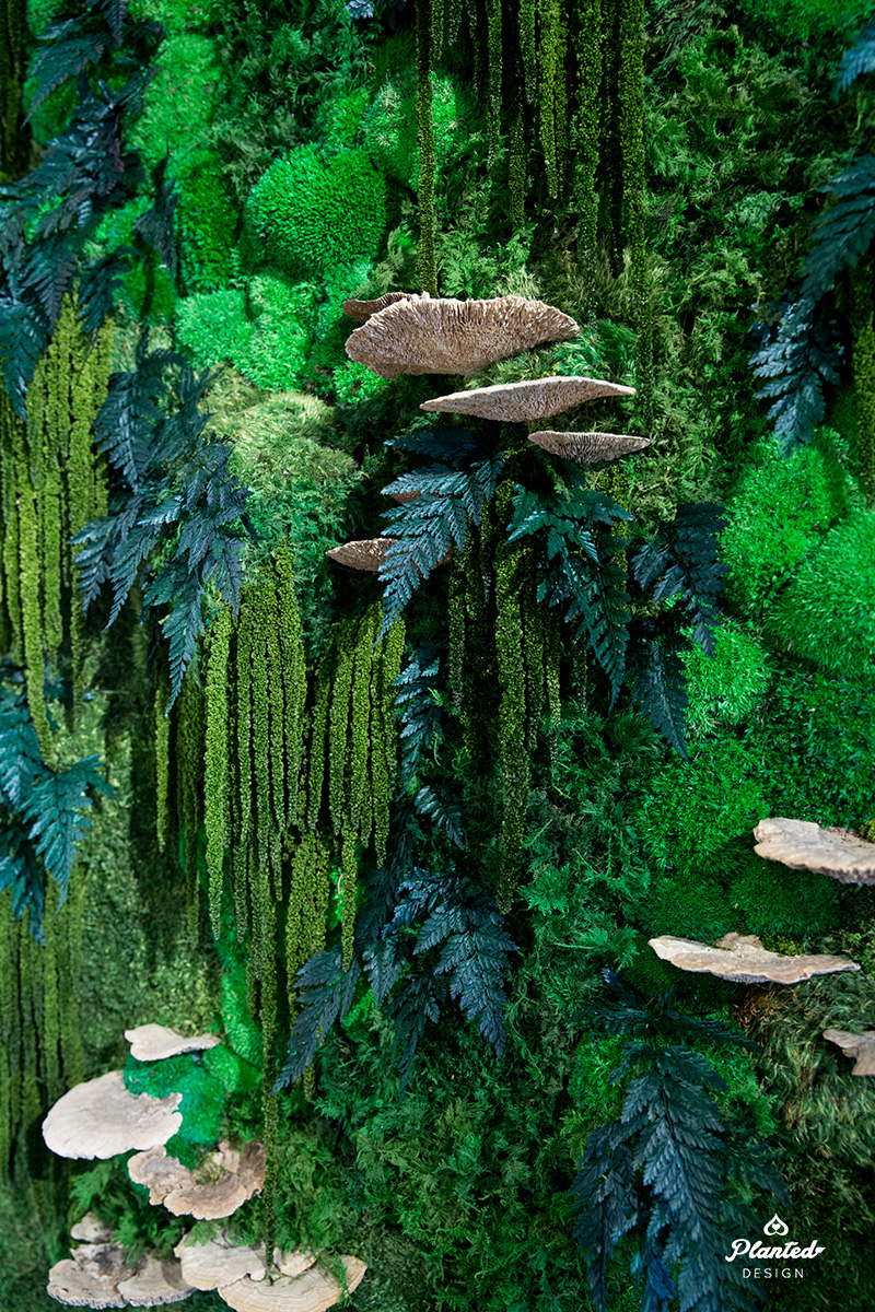 Sustainable Living and Eco-Conscious Practices: Embracing Moss Art for a  Greener Home