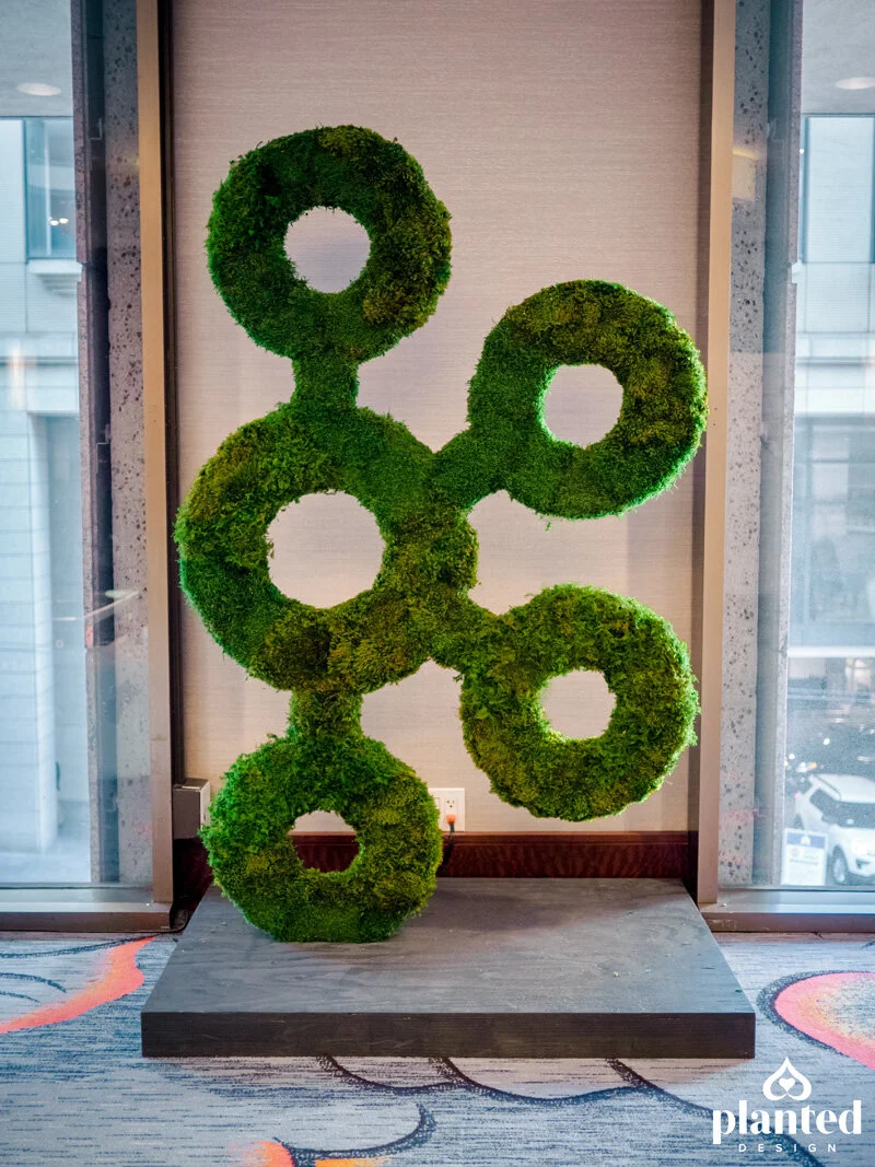 outdoor moss wall on Client Gallery Planted Design