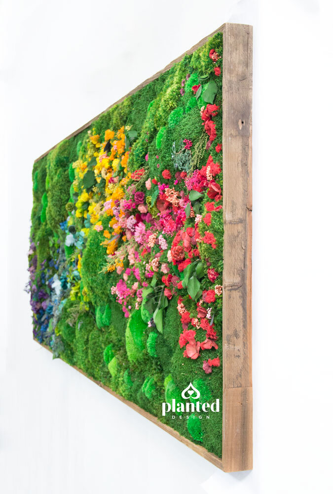 Rainbow Moss Wall | Eco-Friendly Wall Decor