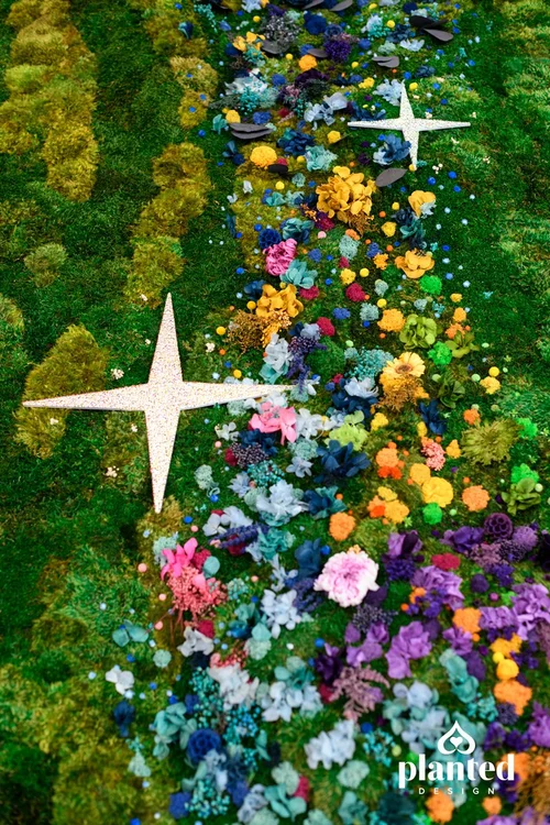 Gallery - Pixie Dust — Planted Design