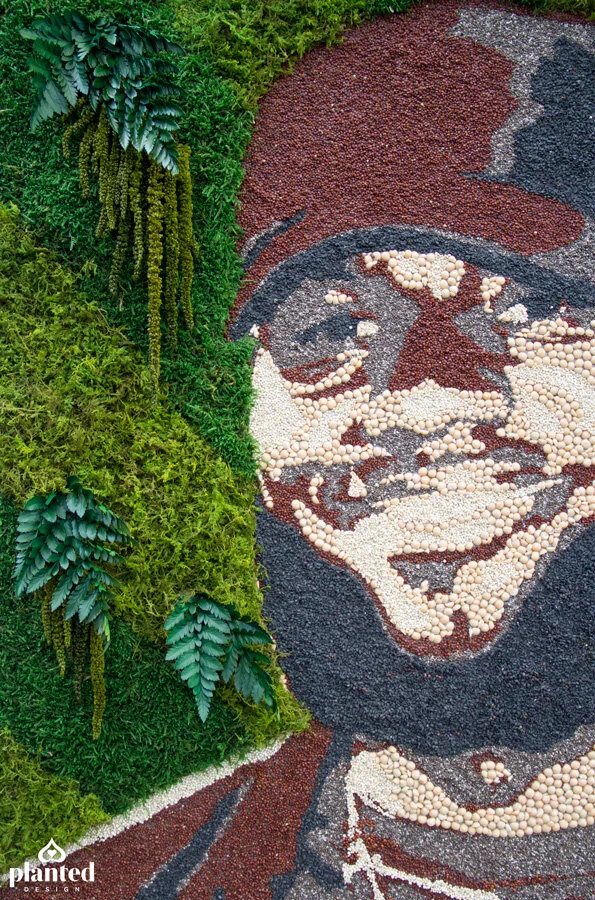 PlantedDesign_Moss_LebronJames_LeBean_Preserved_ReclaimedWood_Website_5.jpg
