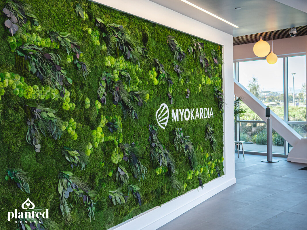 Gallery - Myokardia Lobby — Planted Design