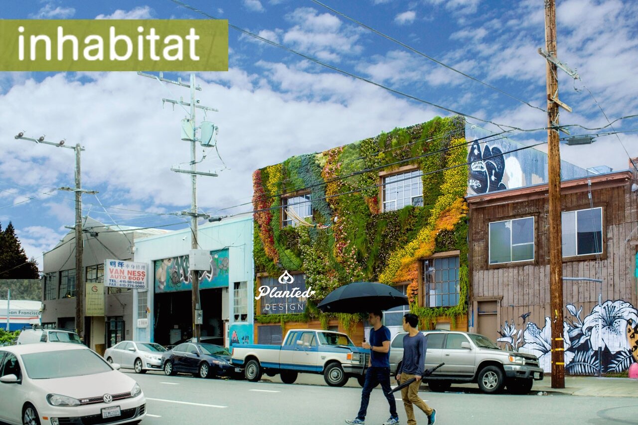 San Francisco’s first community-built living wall is a drought-resistant masterpiece