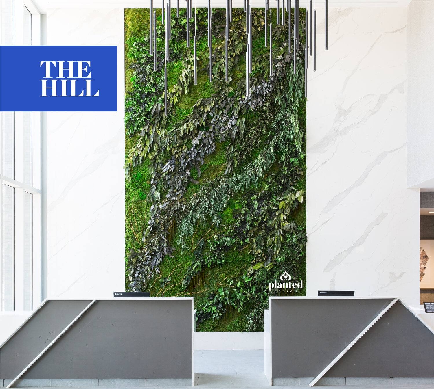 Living Walls Catch on at Companies Looking to Appeal to Millennial Workforce