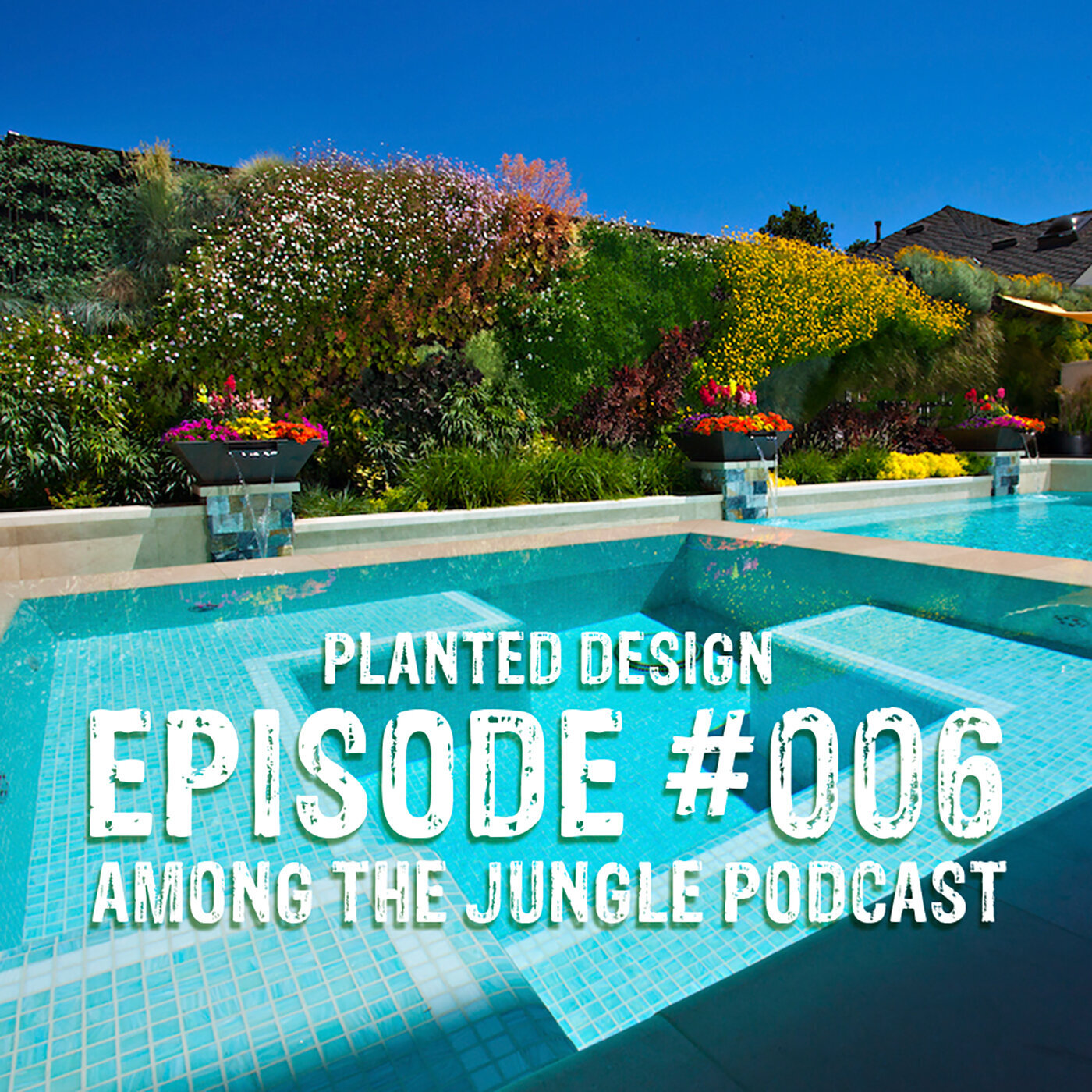 Founder Amanda Goldberg talks plant walls on Among the Jungle podcast