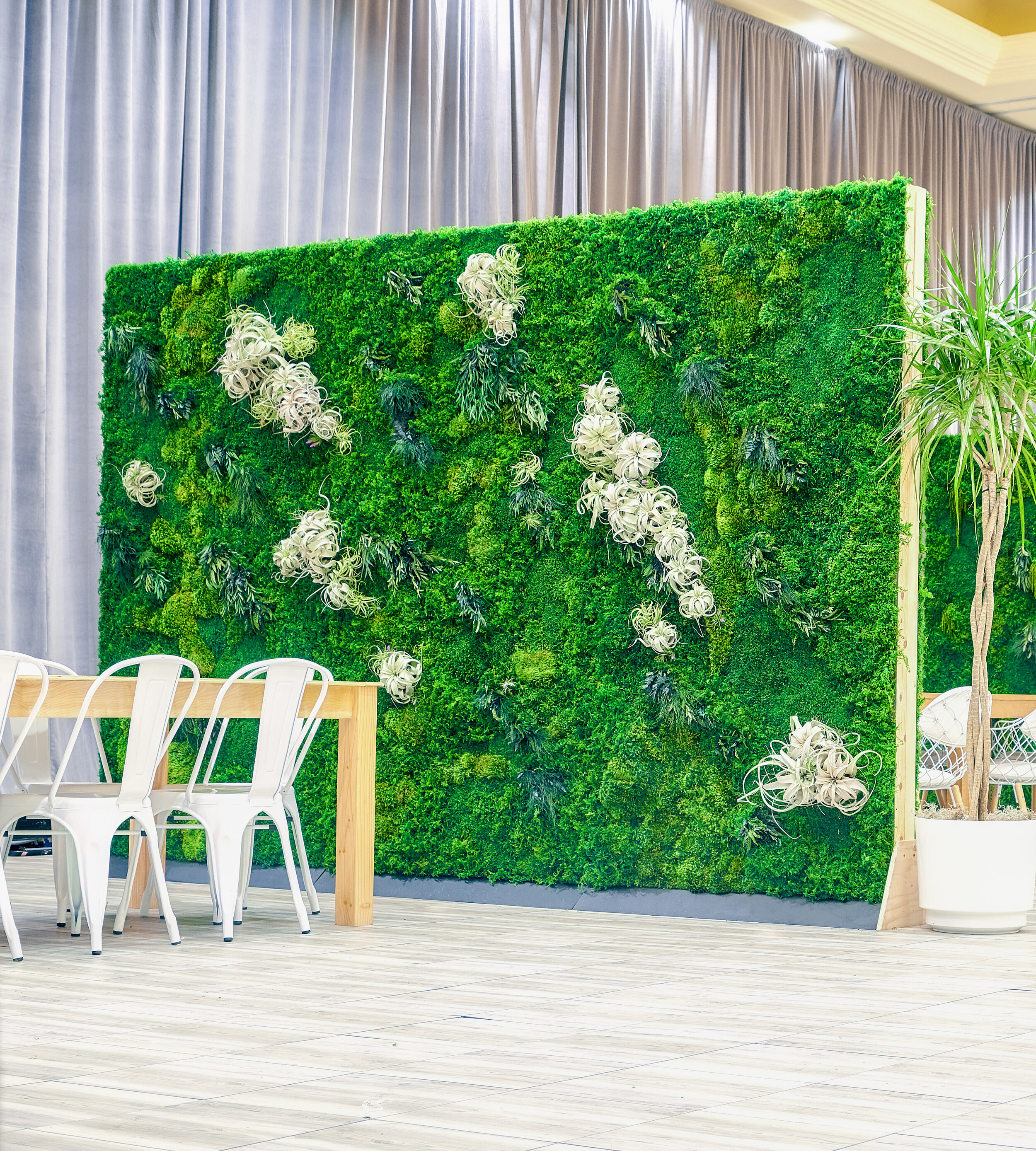 Moss Art & Plant Walls – Oakland Green Interiors