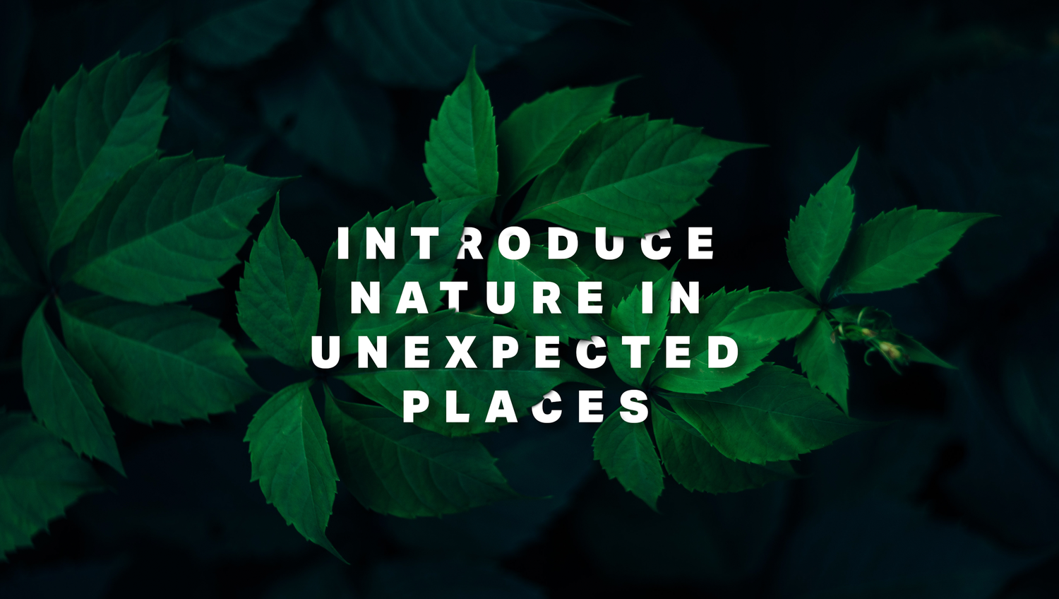 Planted Design