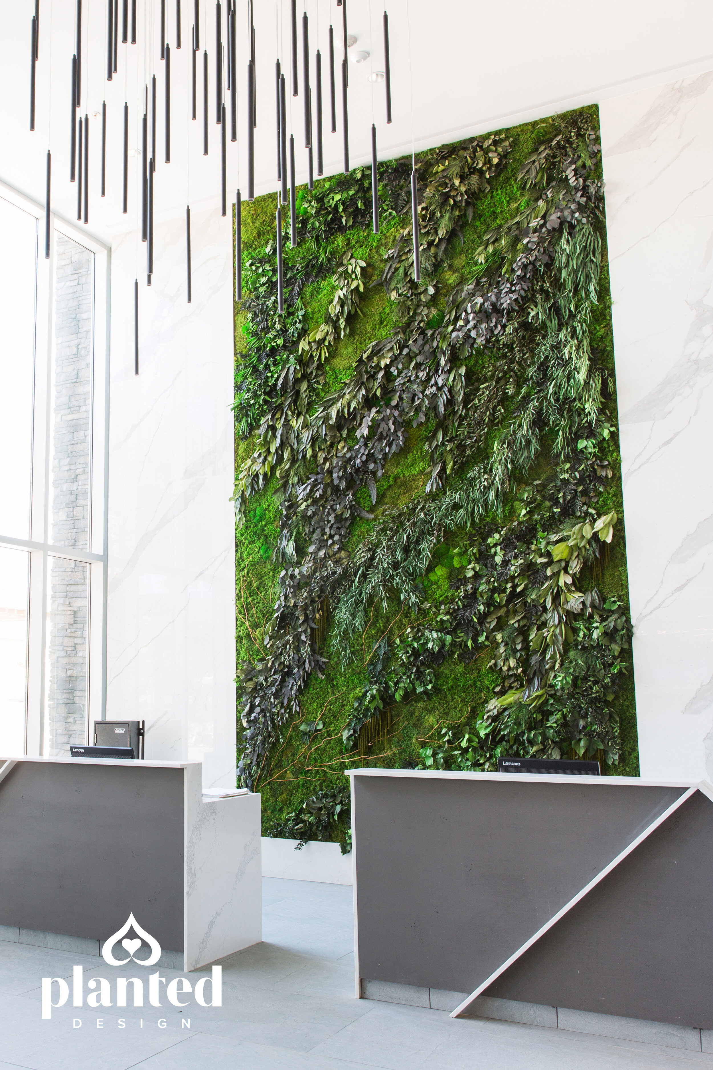Moss Walls — Planted Design