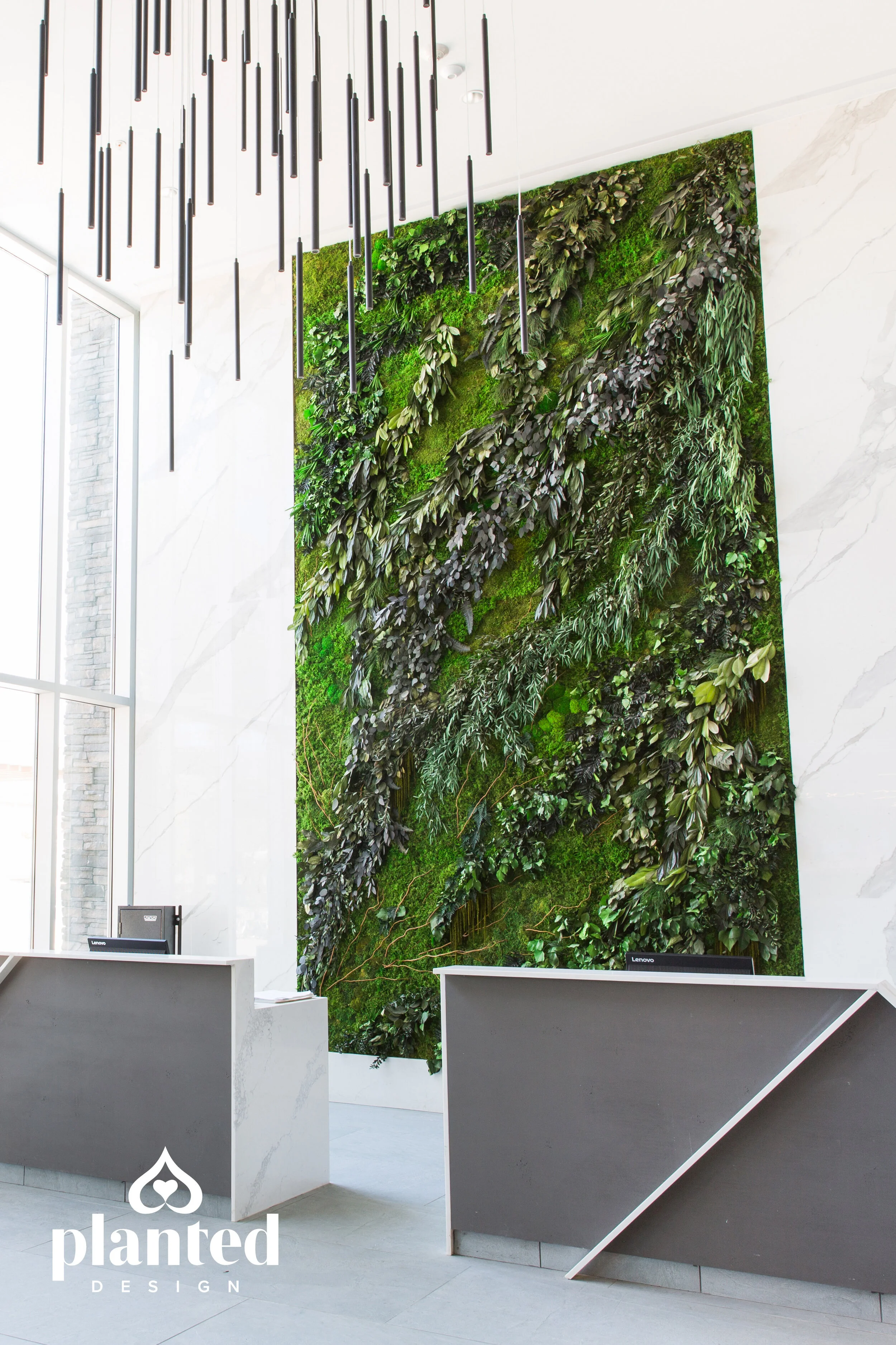indoor moss wall on Moss Walls Planted Design