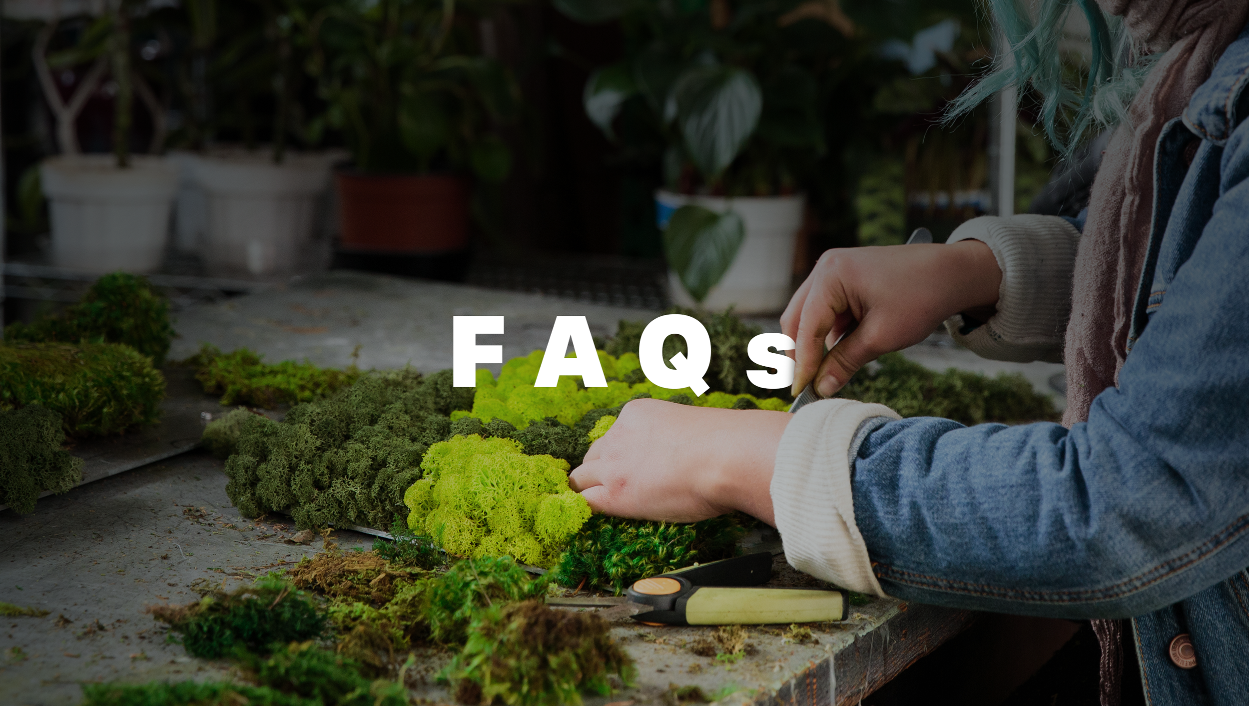 PlantedDesign_FAQ_WebBanner_1.0.png