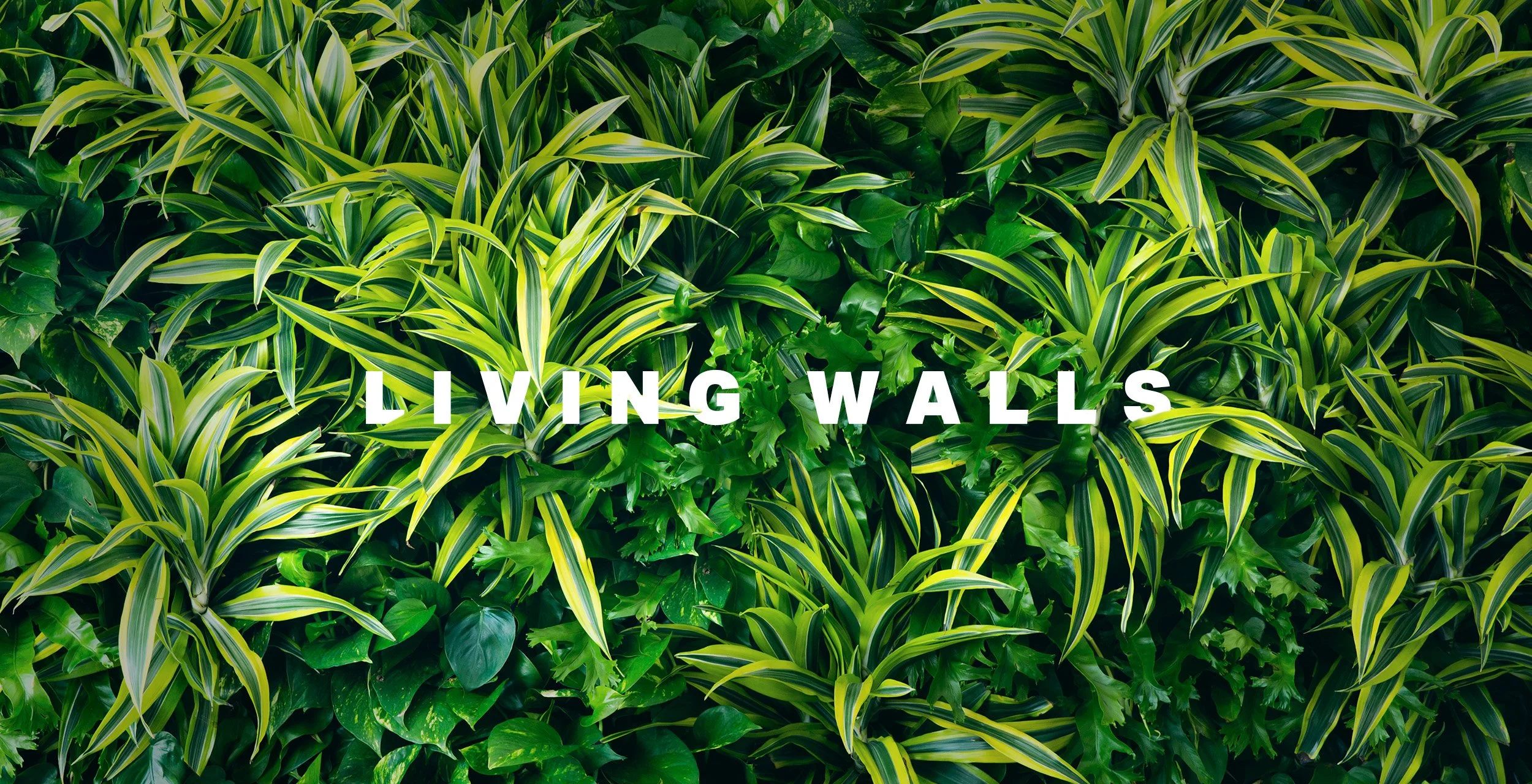 PlantedDesign_LivingWall_WebBanner_3.jpg