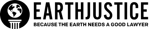 EJ Logo.png