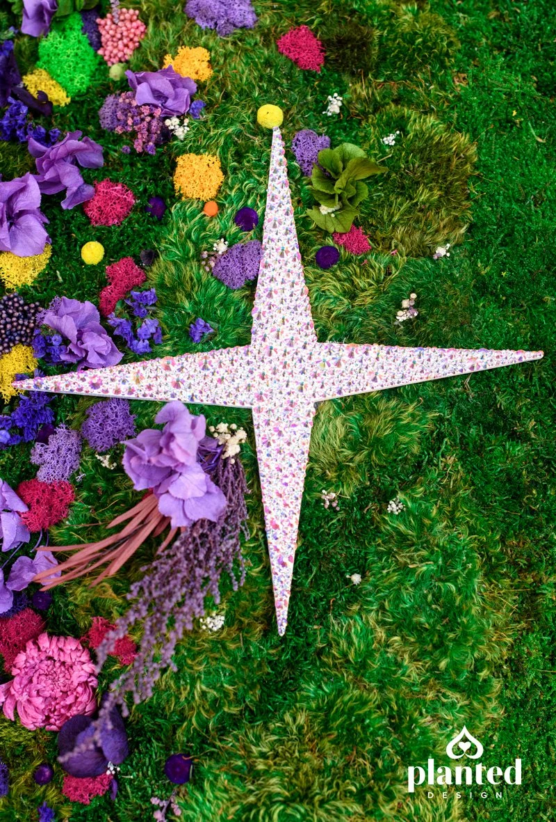 Gallery - Pixie Dust — Planted Design