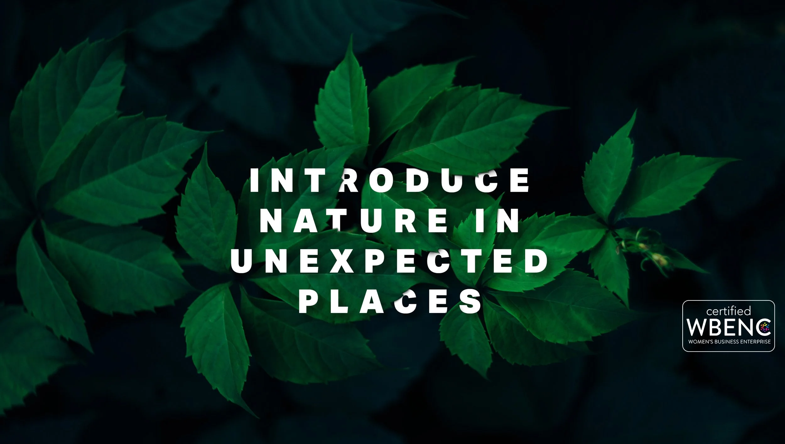 PlantedDesign_HomepageHero_WebBanner_1.3.jpg