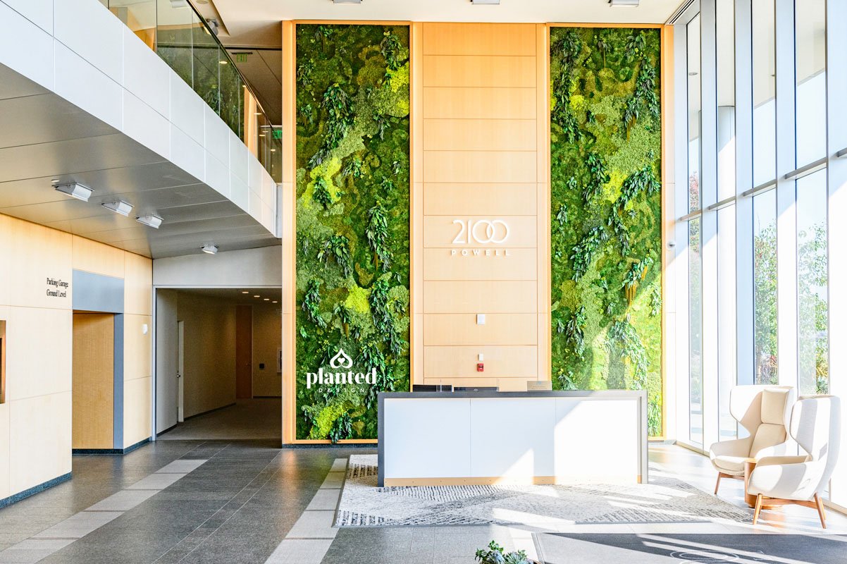 Living Walls vs. Moss Walls: Our Most Frequently Asked Questions
