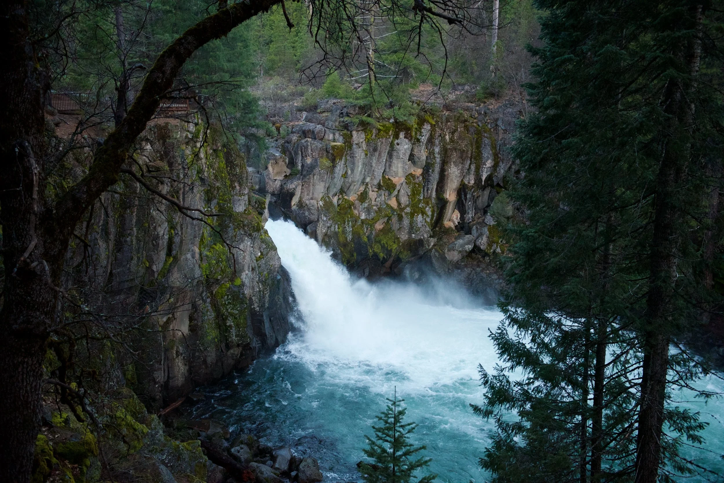 DSC_9211.jpg