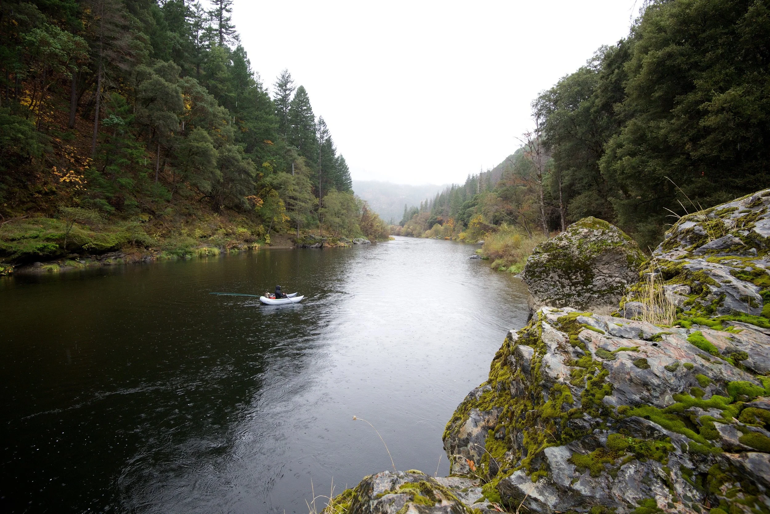 DSC_2458.jpg