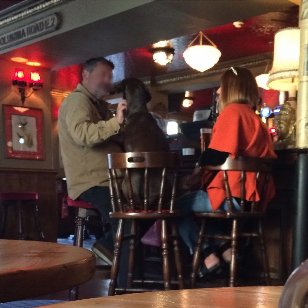 Dog sitting on a bar stool at the Eagle Pub