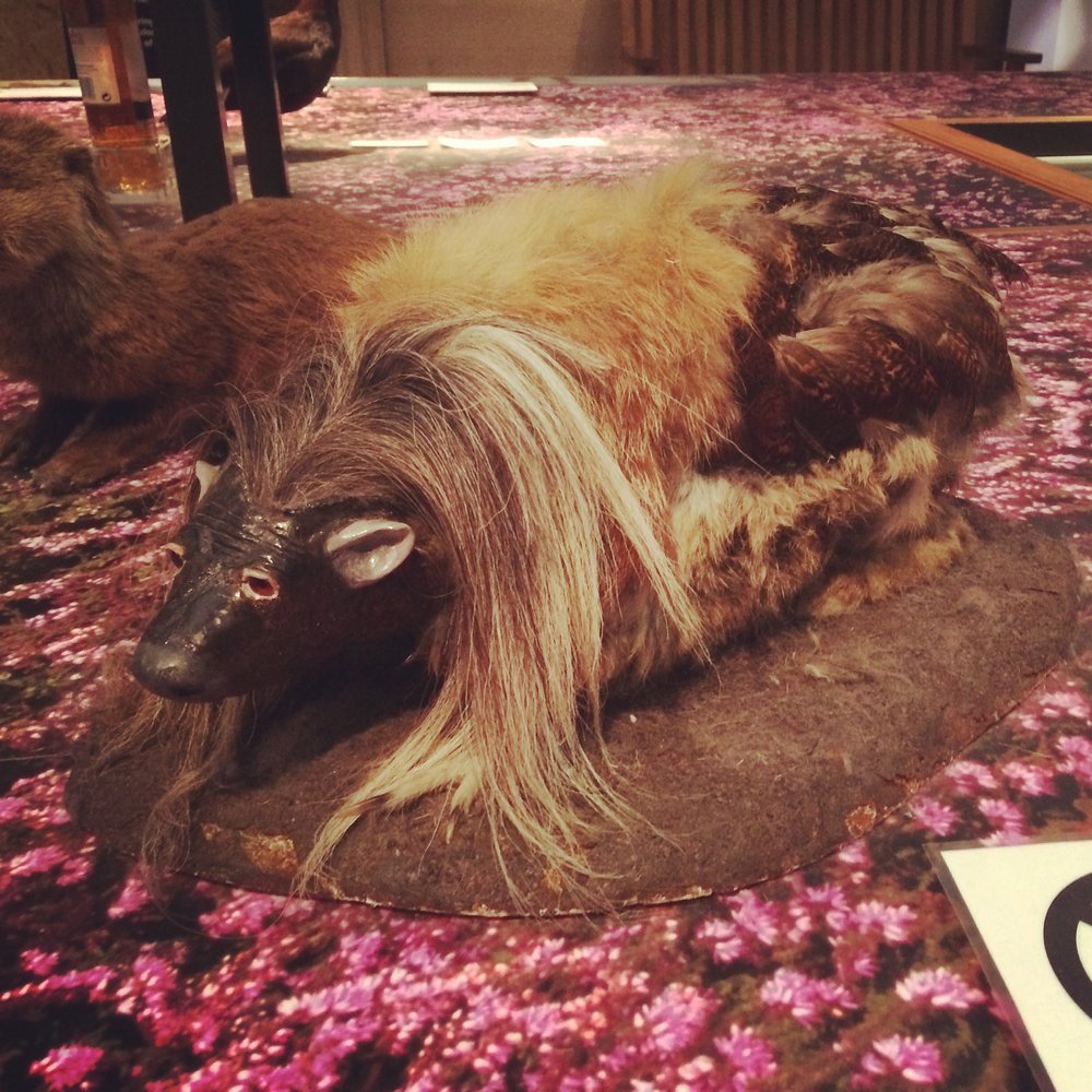 Terrifying beast from the Kelvingrove Museum