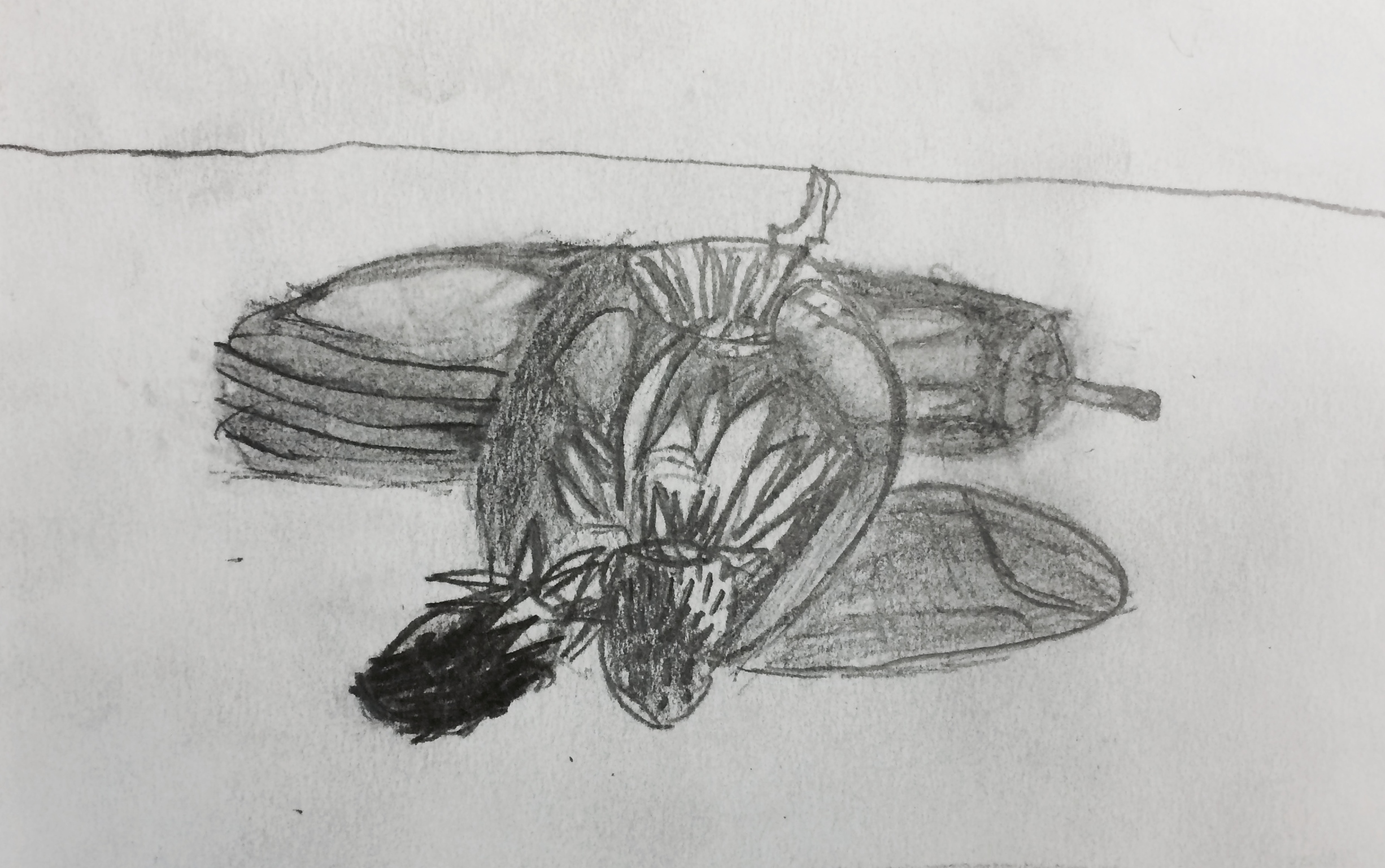 Completed still life drawings.