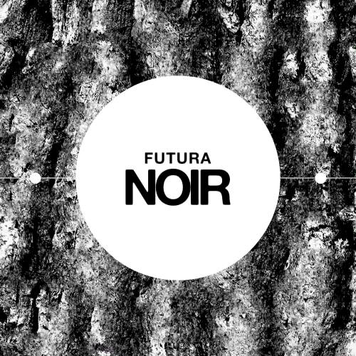 Futura Noira curated series of artwork and events curated by the Culture LP that embodies the rich yet dark history, resistance, and future of black existence. The name is a meld of Spanish and French as a nod to the global impact and influence…