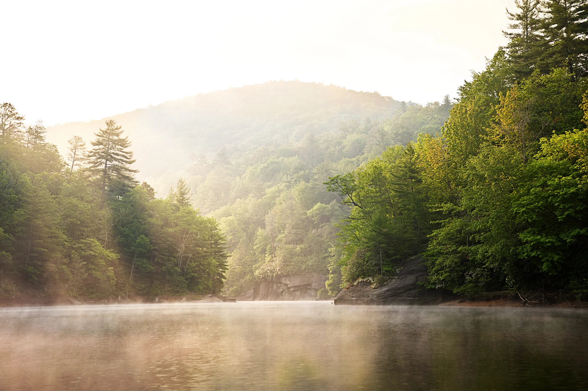 fog on lake tanasee golden.jpg