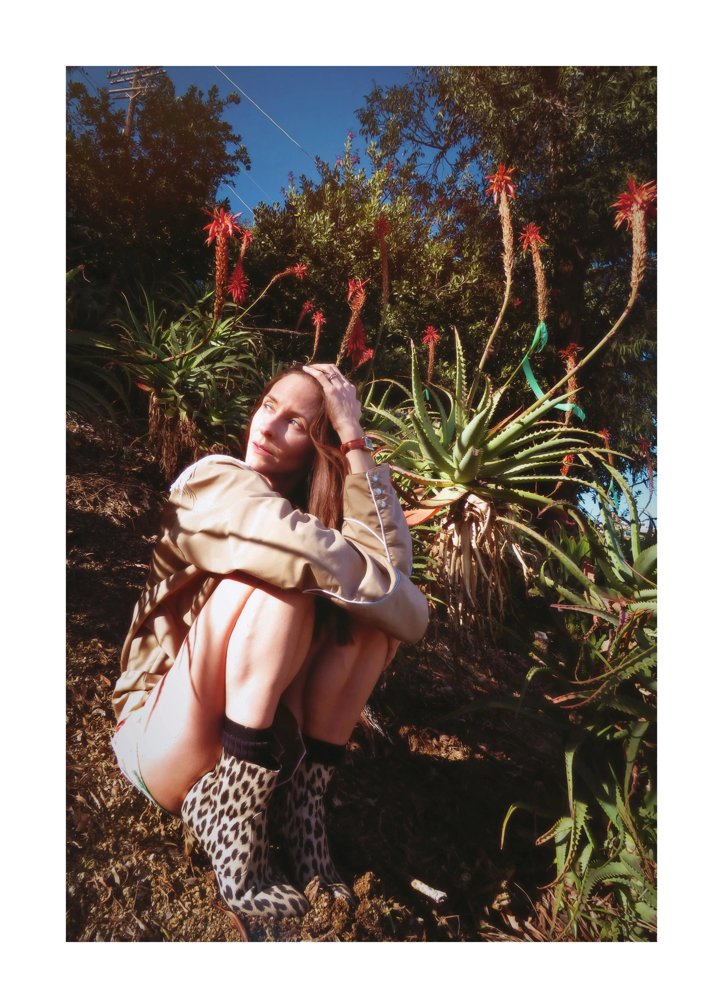 AfterlightImage 6.JPG