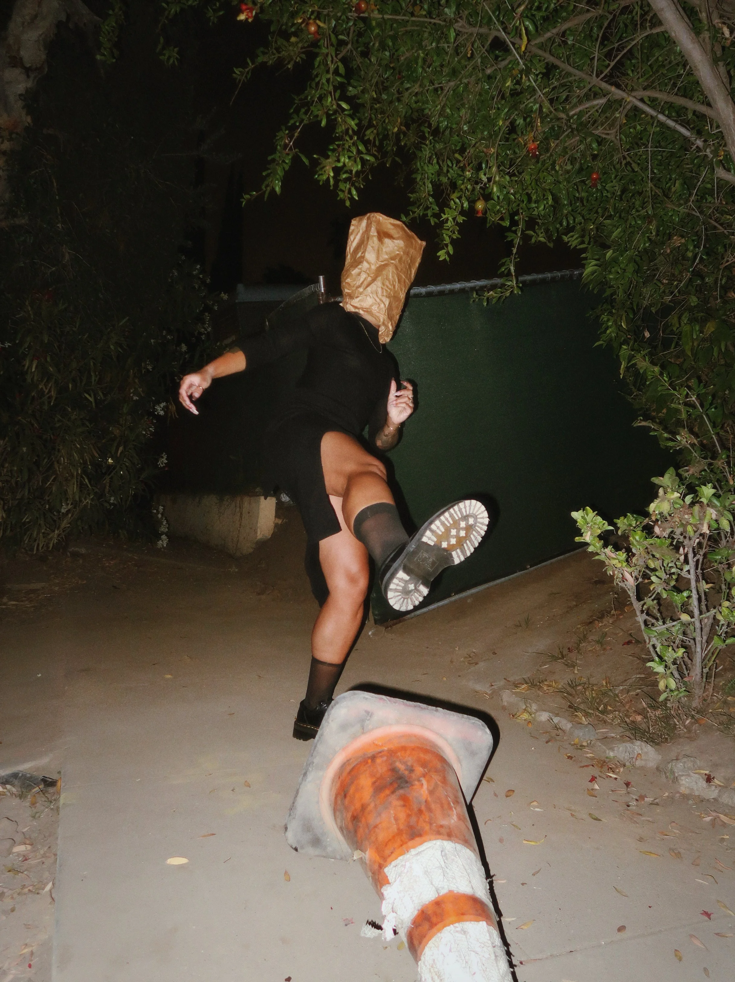 AfterlightImage 101.JPG