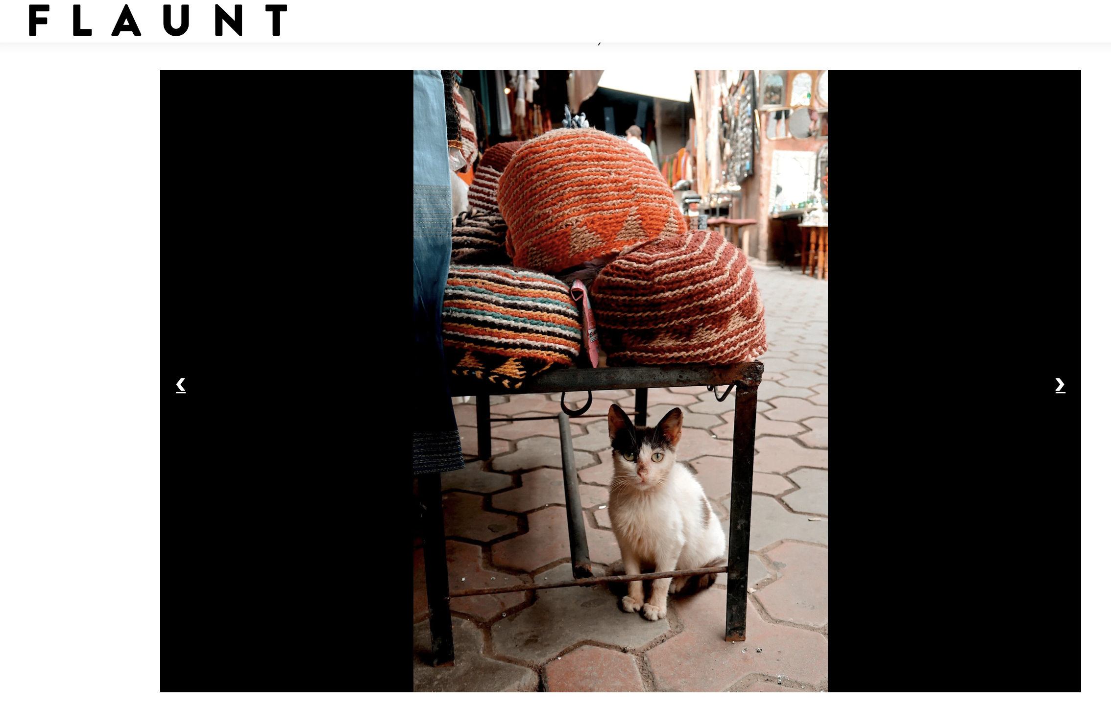 Flaunt 2.png