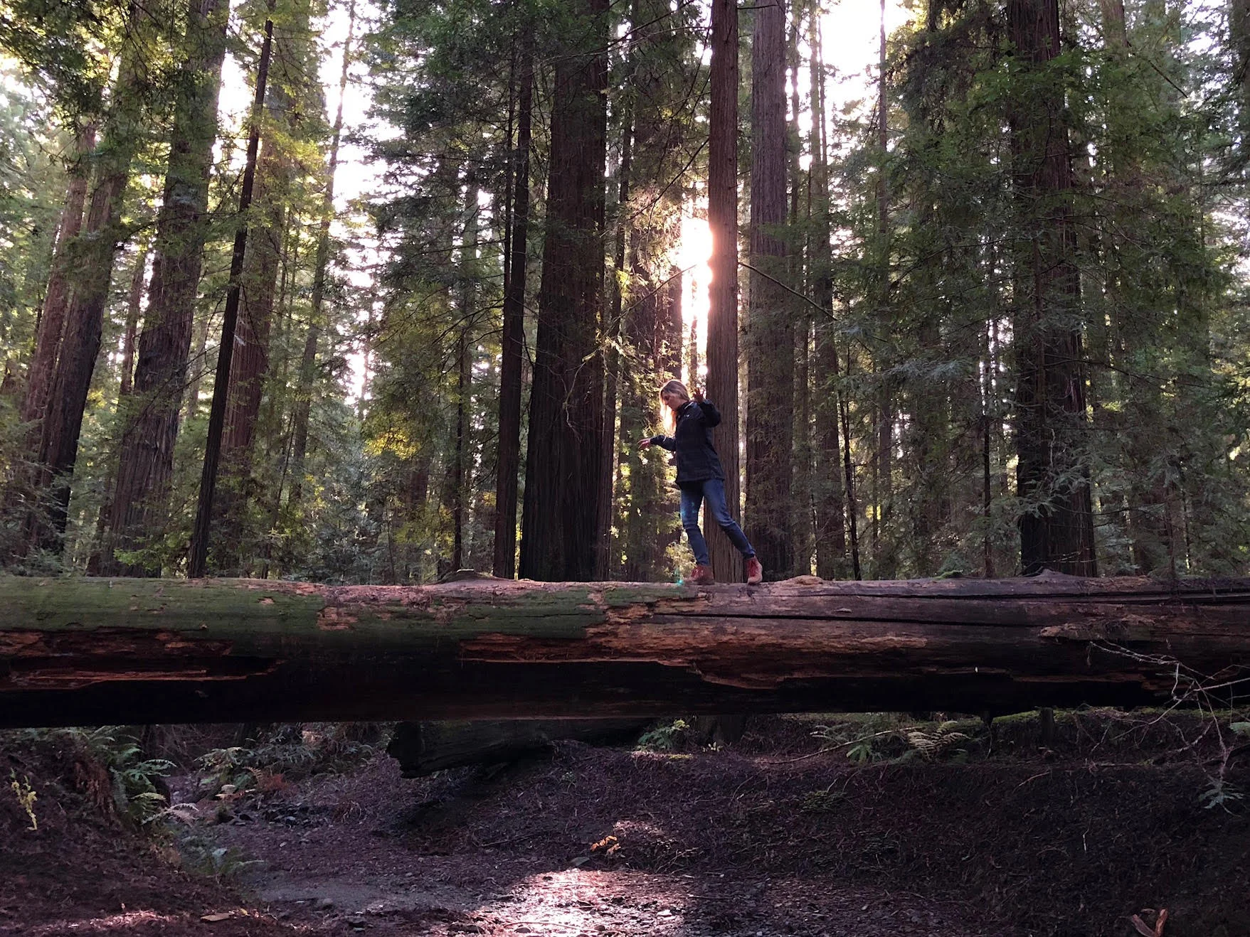 2018 Intentions and my tools for success