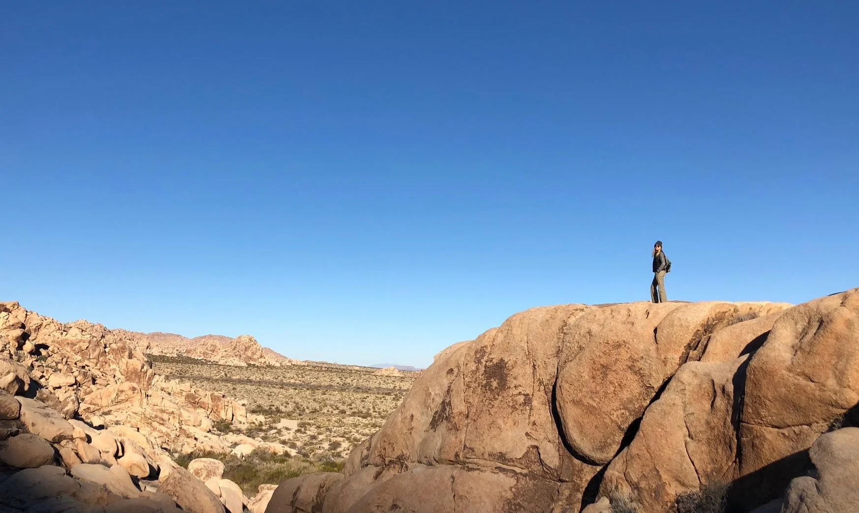 joshuatree.jpg