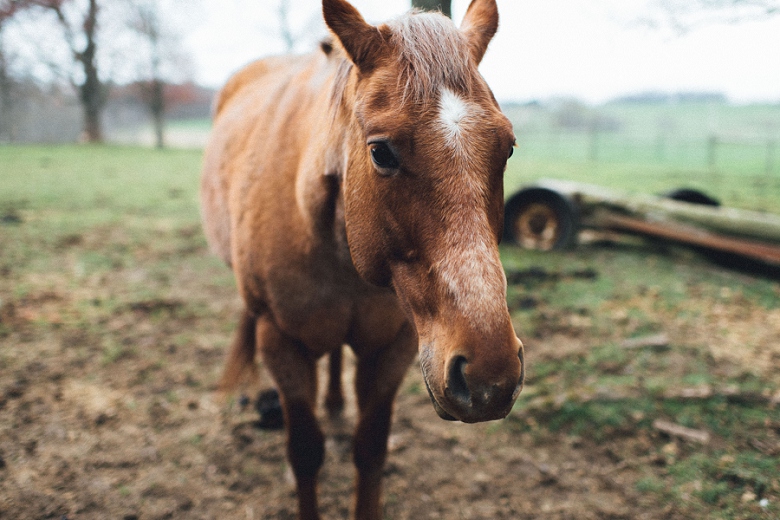 CountryRusticEngagement_Mallory+Justin-39.jpg